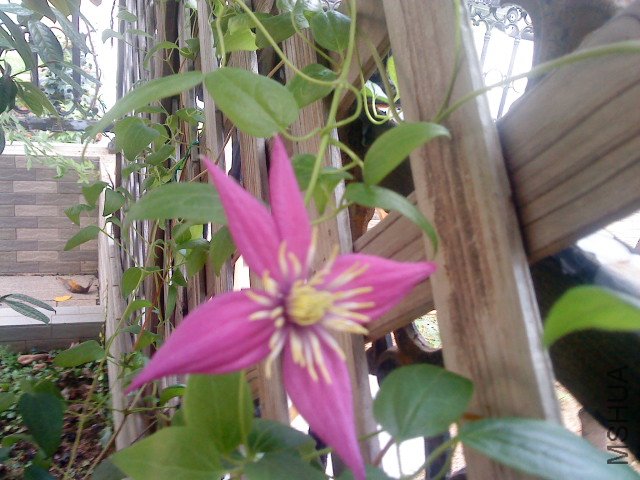 DSC01201.JPG