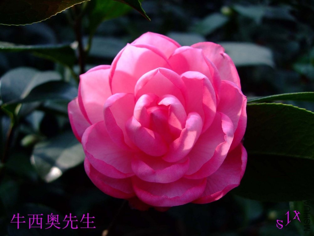 ��ţ 10-10-30 (3).jpg