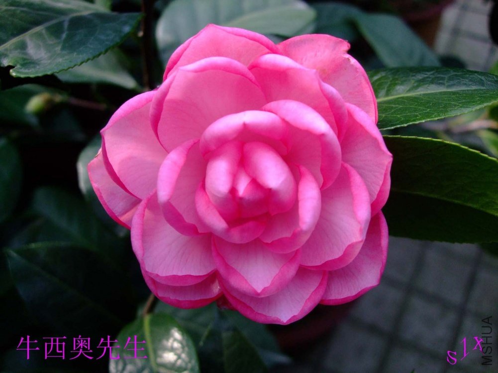 ��ţ 10-10-30 (1).jpg