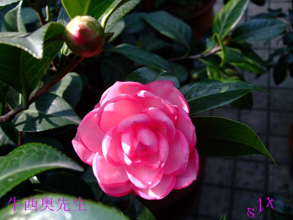 ��ţ 10-10-30 (2).jpg