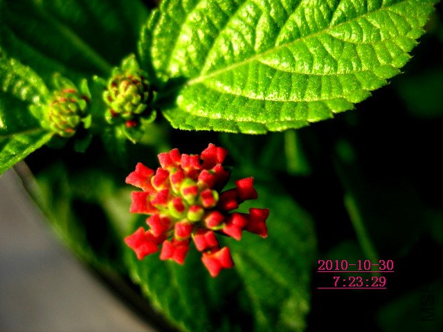 IMG_8287.JPG
