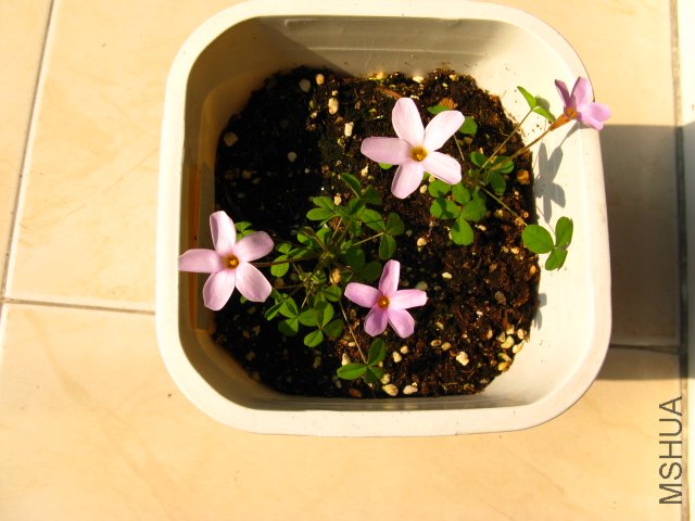 �����С��~��