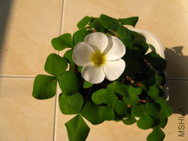 Ŀǰֻ��һ�䣬��һ������������������֮��Ӧ�û�ܲ��ð�~��