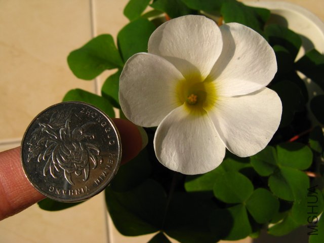 ��ܽ�صĻ�����Ȼ���󣬶Ա�һ��~��