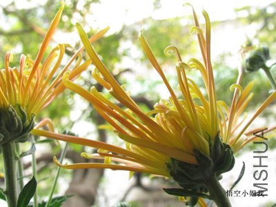 ���� 010.JPG