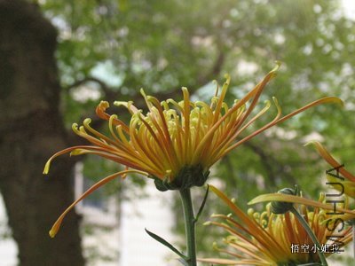 ���� 014.JPG