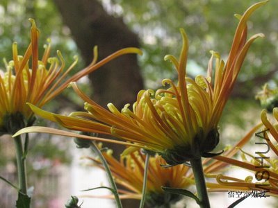 ���� 018.JPG