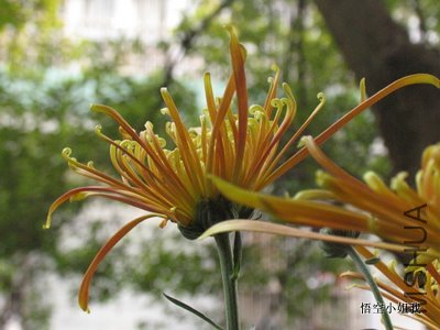 ���� 013.JPG