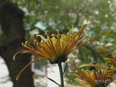 ���� 015.JPG