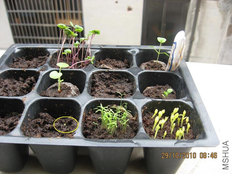 20101022 060.jpg