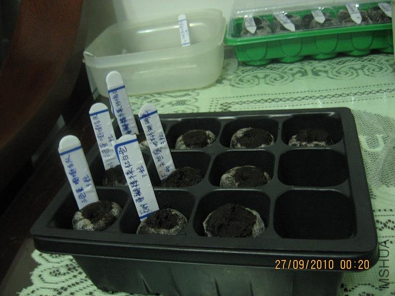 20100926��Ӱ 001.jpg