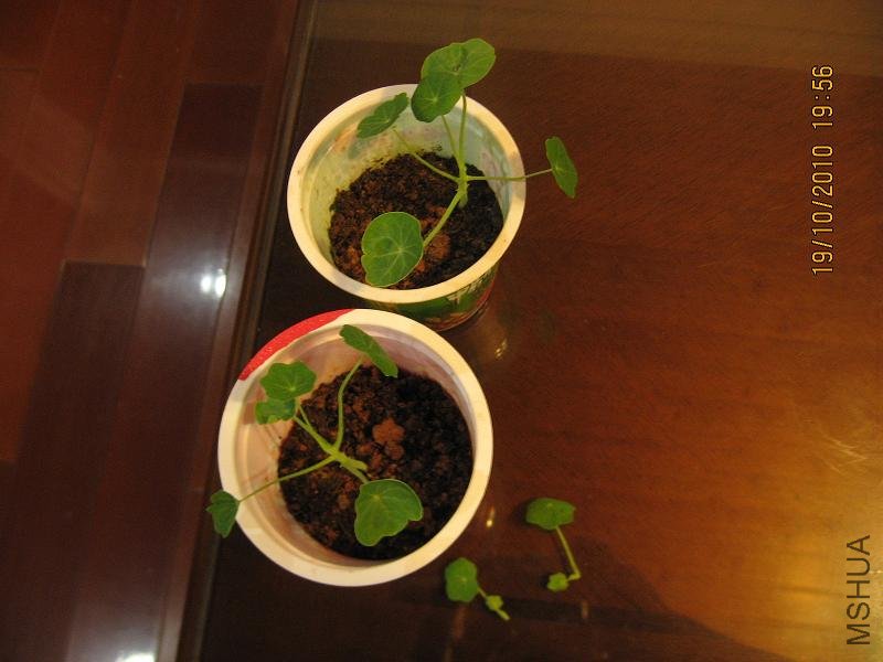20101019 019.jpg