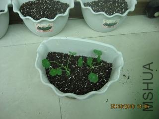 20101022 021.jpg