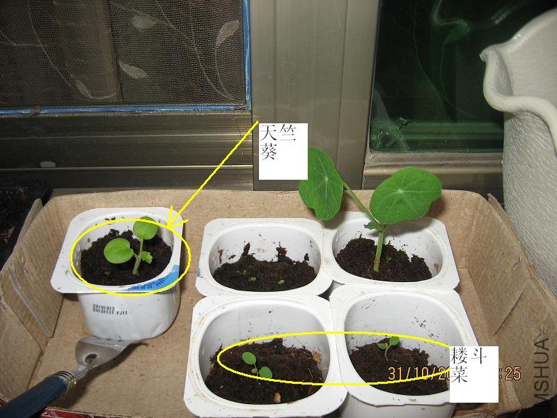 20101022 062.jpg
