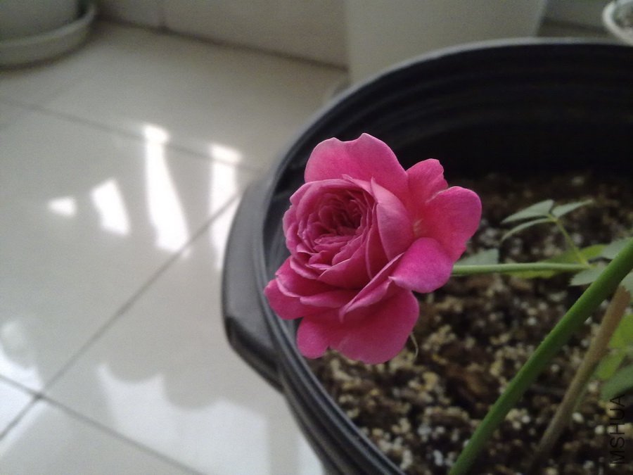 20101101361.jpg