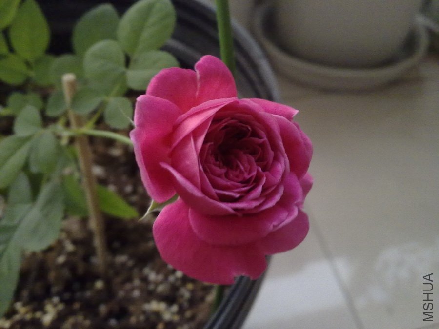 20101101359.jpg