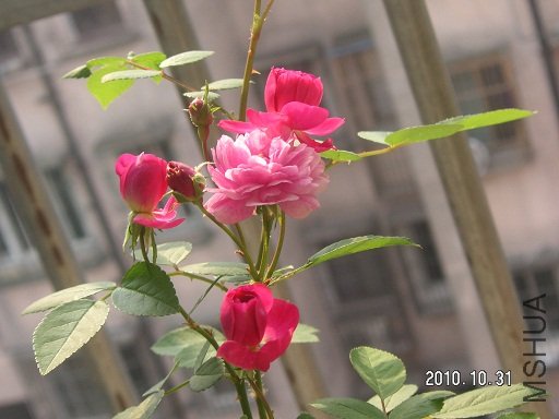 PICT0020.JPG