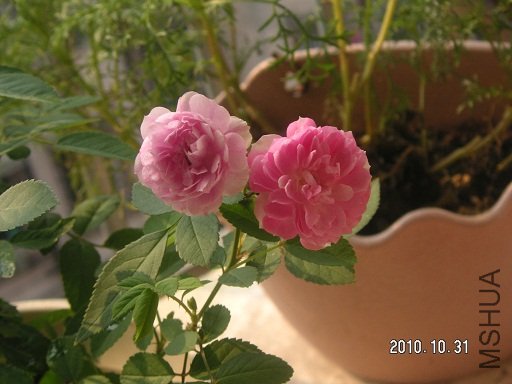PICT0046.JPG