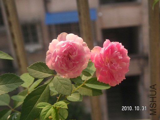 PICT0054.JPG