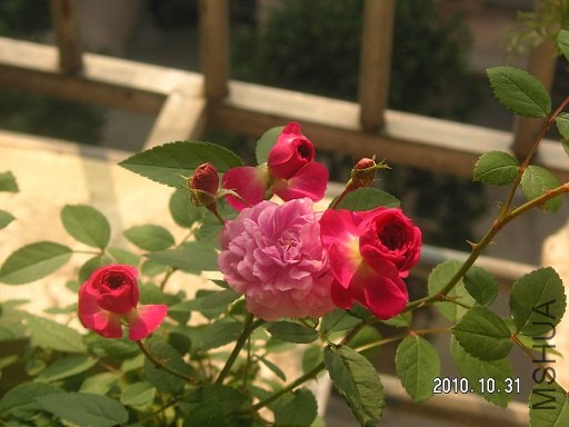 PICT0049.JPG