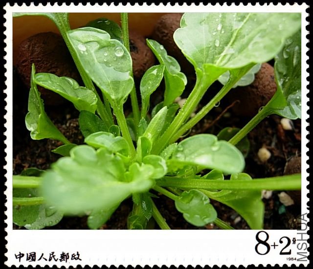DSCN8014.JPG