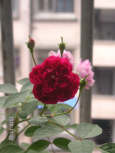 PICT0007.JPG
