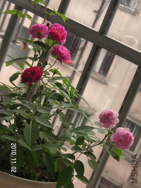 PICT0013.JPG
