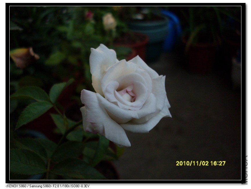 SDC15988_nEO_IMG.jpg