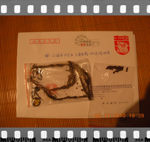 DSCN3145.jpg