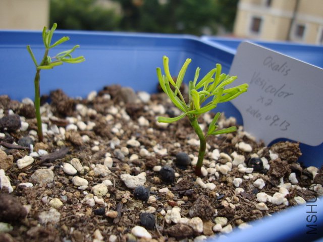DSC04157.JPG