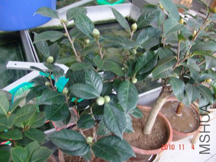 DSC09106.JPG