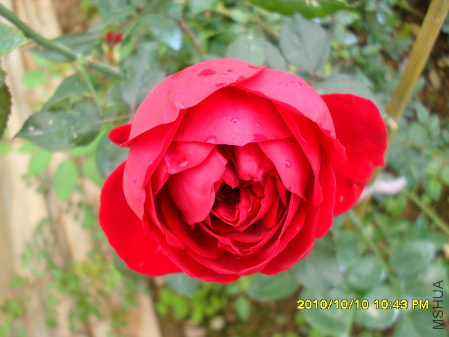 ���� (2).jpg