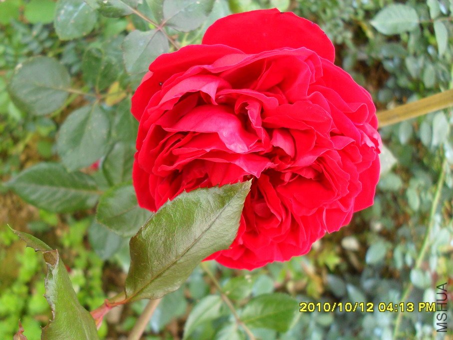 ���� (10).jpg