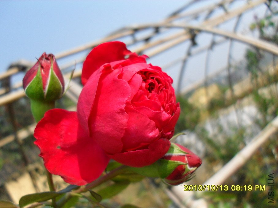 ���� (12).jpg