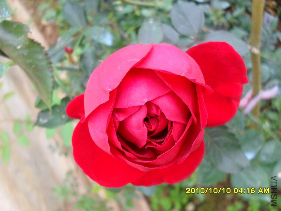 ���� (4).jpg