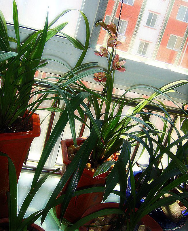 DSC09504.JPG