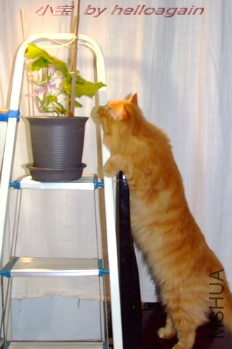 С�� & ǣţ�� 3.jpg