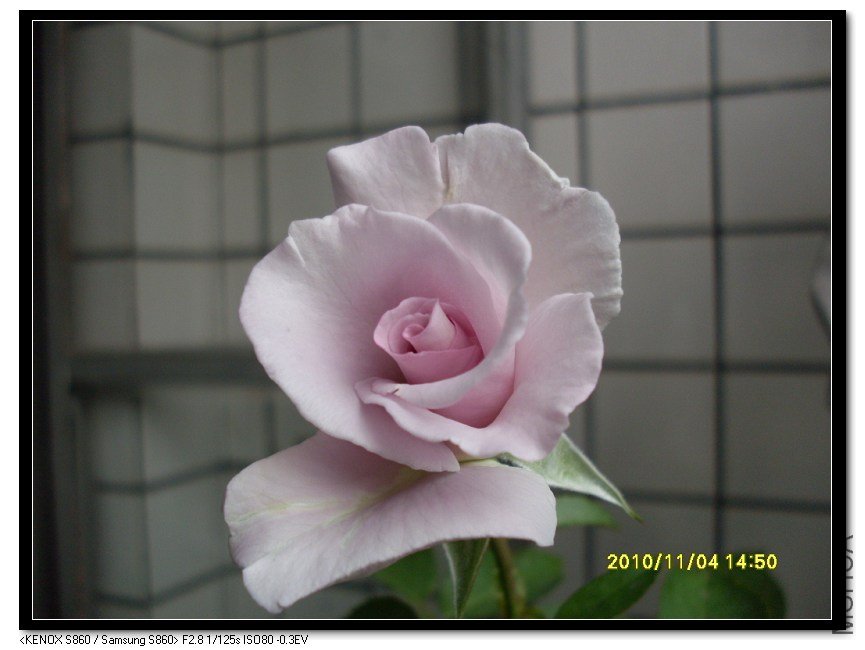 SDC16041_nEO_IMG.jpg