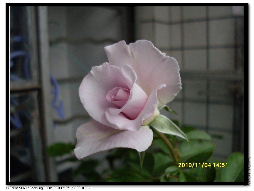 SDC16044_nEO_IMG.jpg