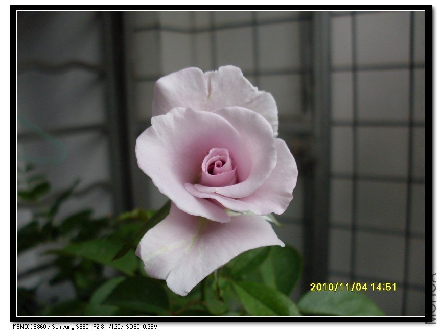 SDC16043_nEO_IMG.jpg