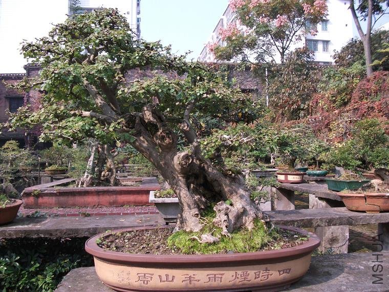 DSCF0362.JPG