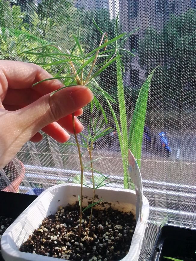 ̫���ˣ������������ߣ�Ҫ���ַ���