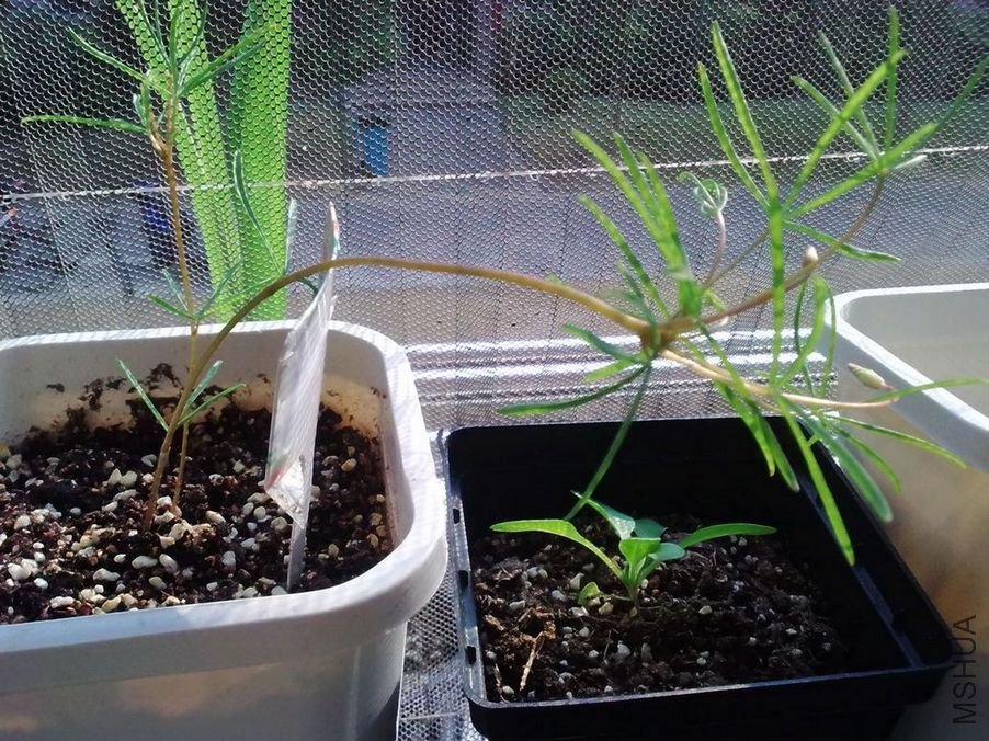 û�������ӣ�������ȫ������