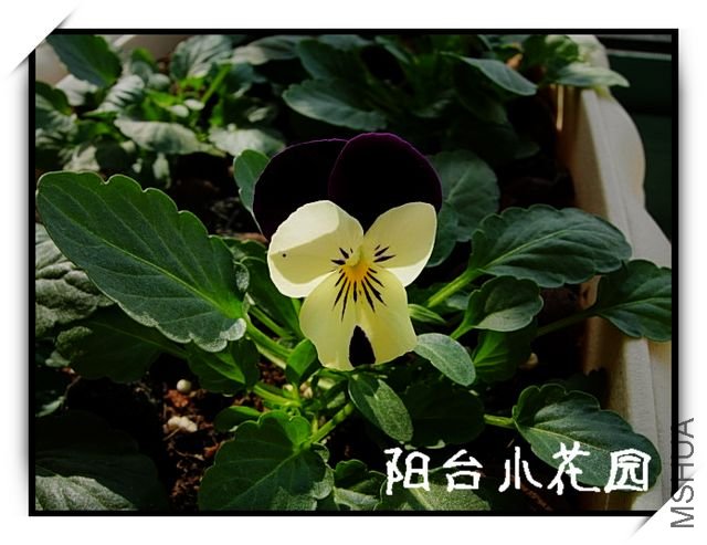 DSCN8094.JPG