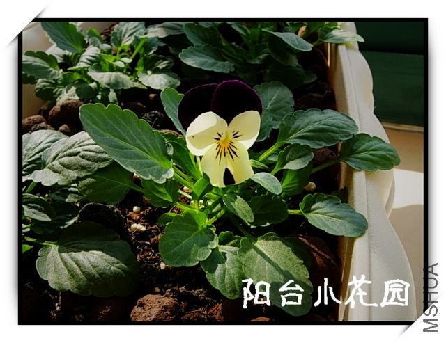 DSCN8095.JPG