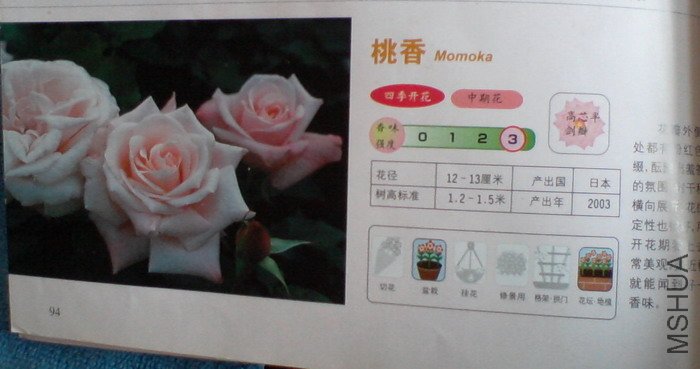 �����㽵�Ǿޱͥ԰ 009.jpg