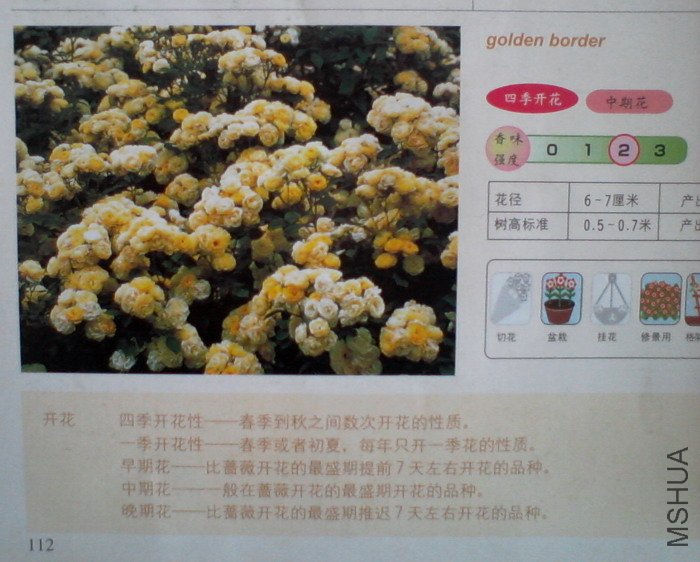 �����㽵�Ǿޱͥ԰ 011.jpg