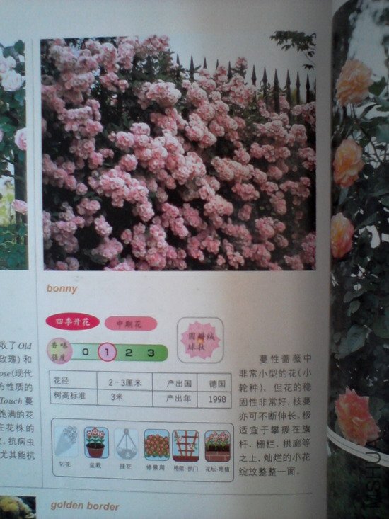 �����㽵�Ǿޱͥ԰ 012.jpg