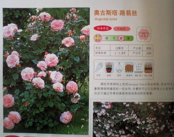 �����㽵�Ǿޱͥ԰ 015.jpg