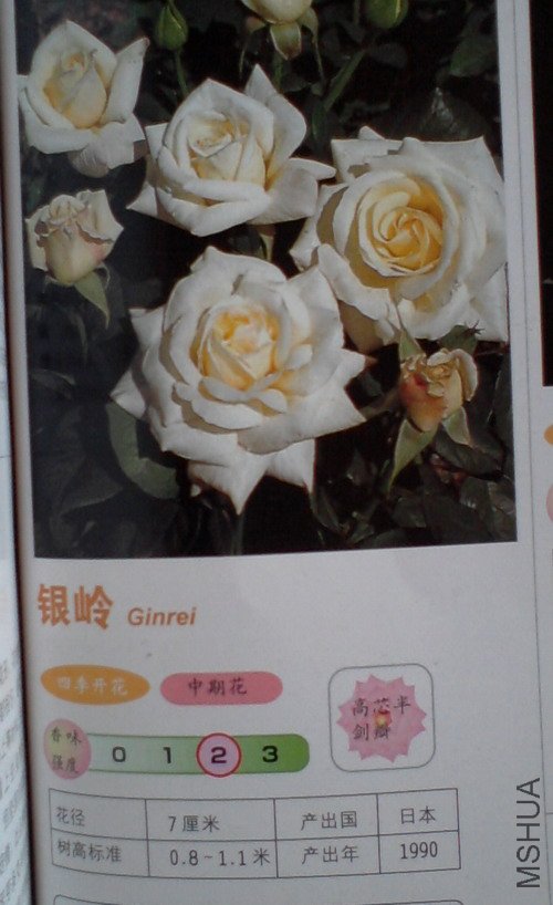 �����㽵�Ǿޱͥ԰ 019.jpg